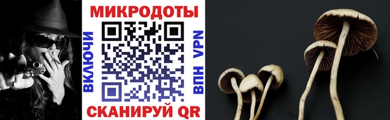 Псилоцибиновые грибы прущие грибы  магазин продажи   Байкальск 